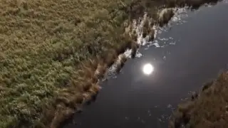 В реке обнаружены останки мужчины в Карагандинской области - полиция ищет родных