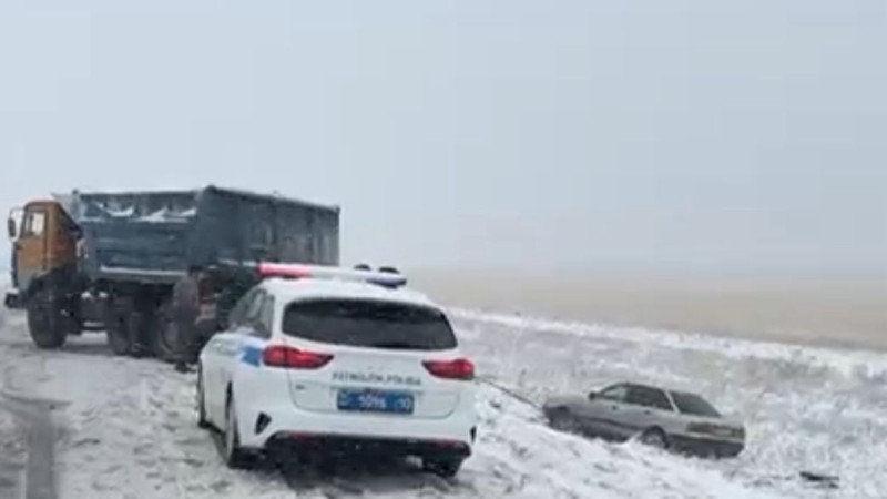 Фото: Polisia.kz