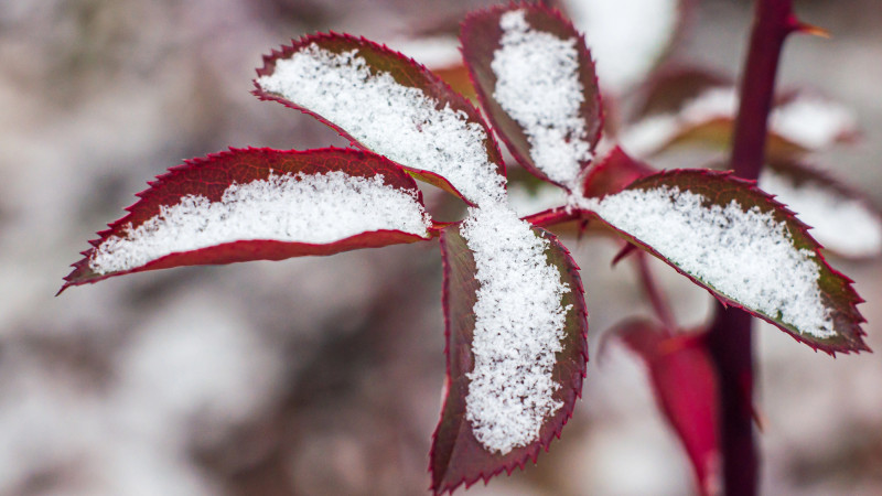 Фото:depositphotos.com