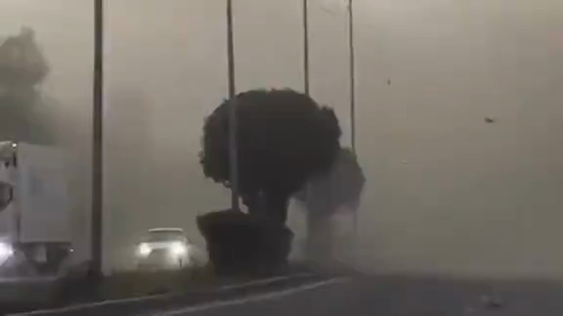 Кадры из видео