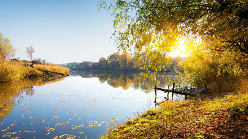 Фото:depositphotos.com