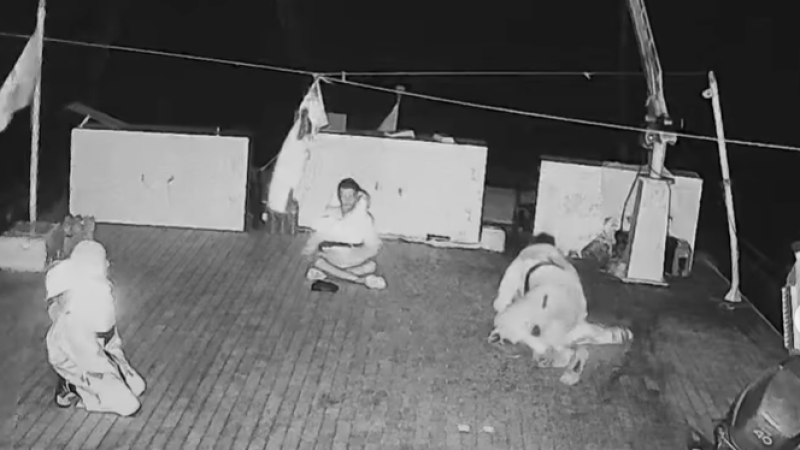 Кадры из видео