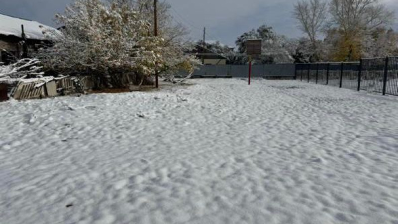 Фото читателя Tengrinews.kz