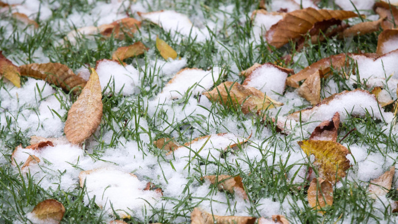 Фото:depositphotos.com