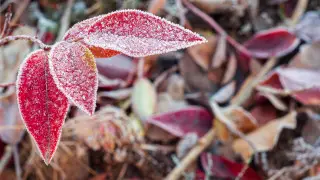 Ясная погода и морозы до 13 градусов придут в Казахстан