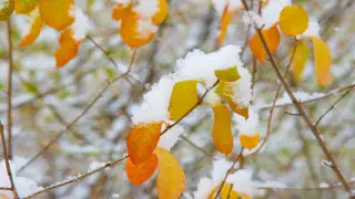 Резкий перепад: снег и заморозки придут в Казахстан