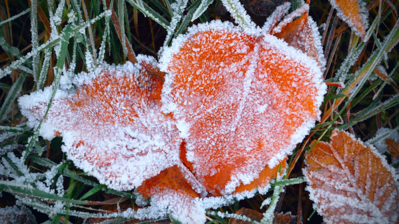 Фото:depositphotos.com