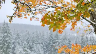 Заморозки на севере и снег на востоке: прогноз погоды по городам Казахстана