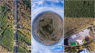 “Скоро от него ничего не останется“: лес с высоты показали в Петропавловске