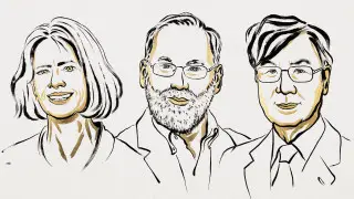 Трое учёных раскрыли секрет иммунитета и получили Нобелевскую премию