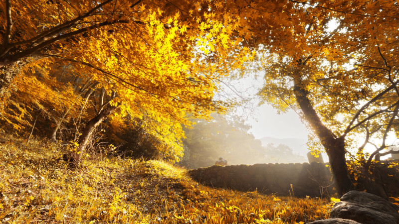 Фото:depositphotos.com