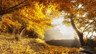 Резкий контраст температур: где в Казахстане будут заморозки, а где ещё тепло