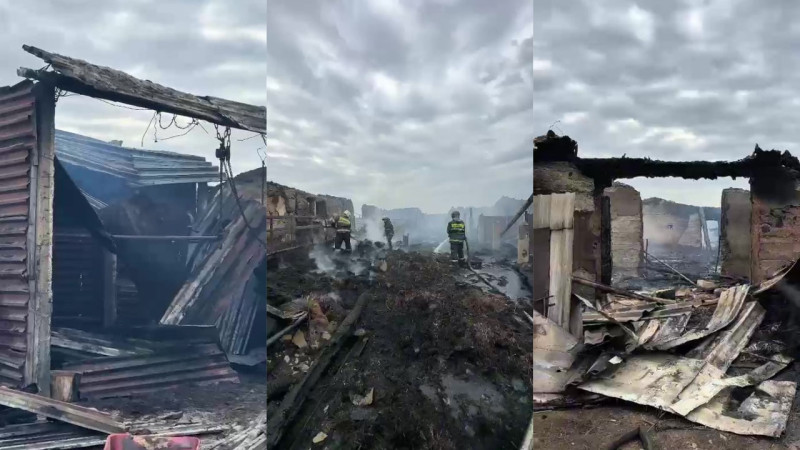 Кадры из видео