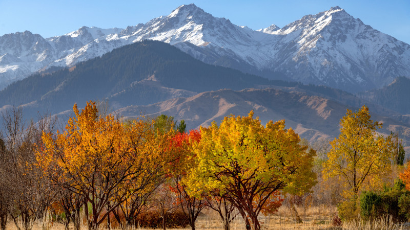 Фото:depositphotos.com