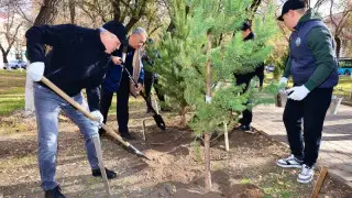 В Карагандинской области посадили 10 тысяч деревьев