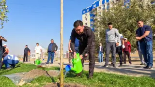 Аким Шымкента принял участие в посадке деревьев вместе с горожанами