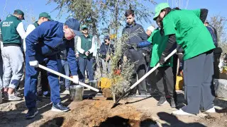 Более 1200 гектаров очистили в Алматинской области в рамках “Таза Қазақстан“