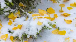 Северный антициклон накроет Казахстан: морозы на севере, жара на юге