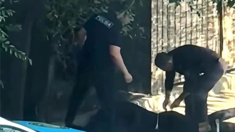 Кадр из видео