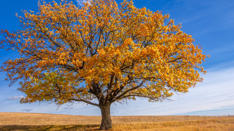 Фото:depositphotos.com