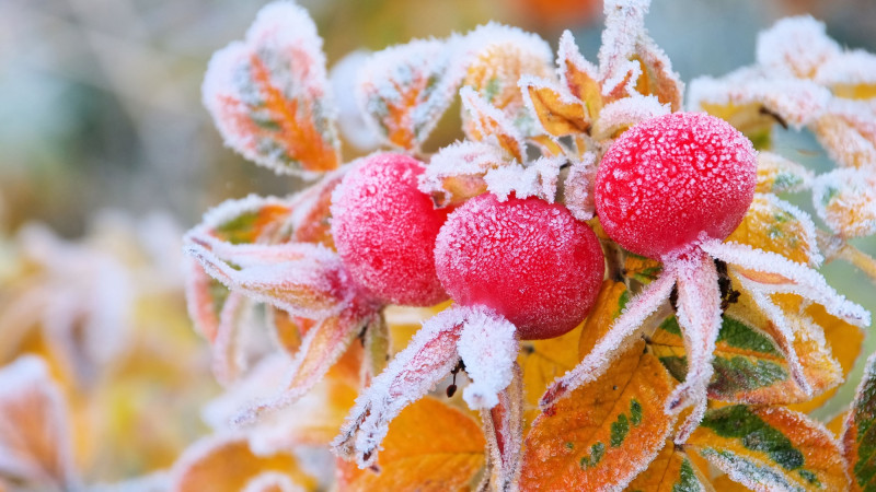 Фото:depositphotos.com