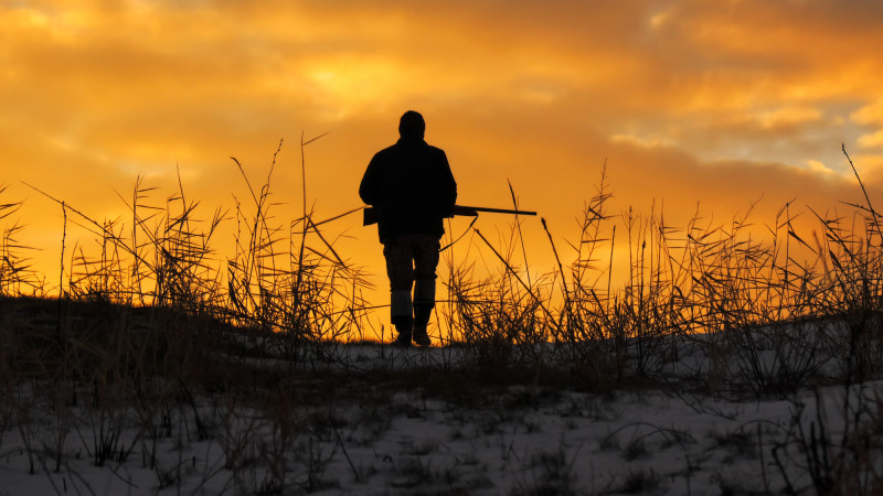 Фото:depositphotos.com