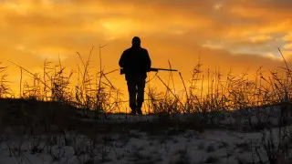 Подросток погиб на охоте в Жамбылской области