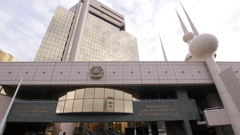 Фото ©️ Турар Казангапов