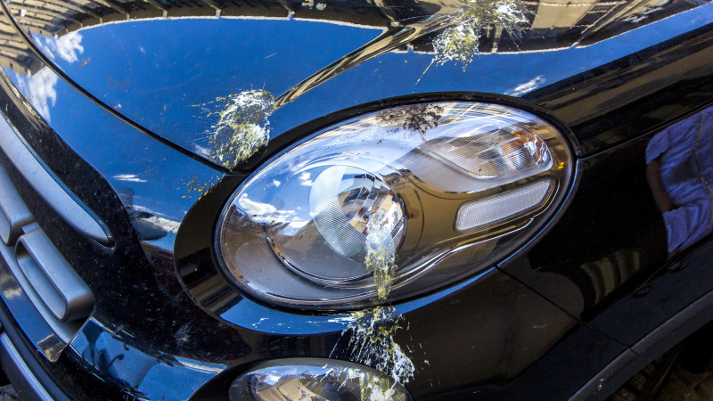 Фото:depositphotos.com