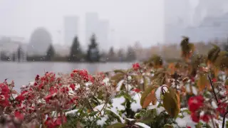 В Астане ожидается первый снег: опубликован прогноз на конец октября