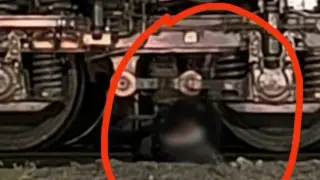 Парень попал под поезд в центре Семея