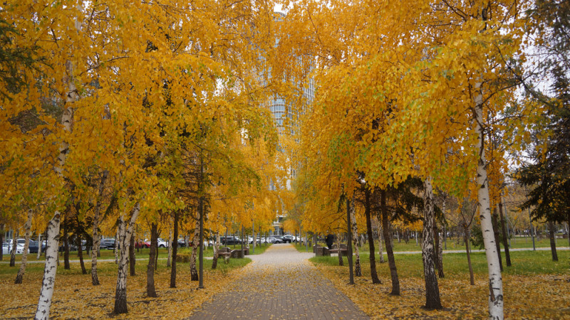 Фото:depositphotos.com