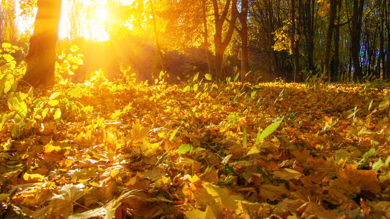 Фото:depositphotos.com