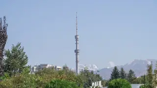 Оповещение о землетрясении в Алматы: в ДЧС сообщили подробности