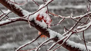 После тепла — дожди и снег: погода в Казахстане резко изменится