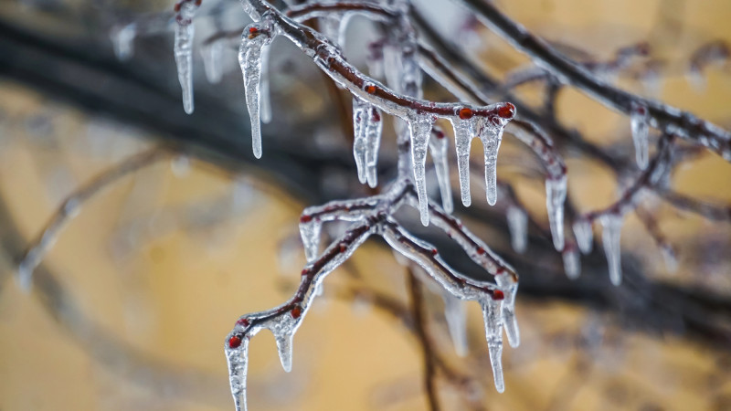 Фото:depositphotos.com