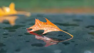 В каких городах Казахстана будет туманно и дождливо: о погоде на 30 октября