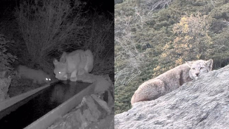 Кадры из видео