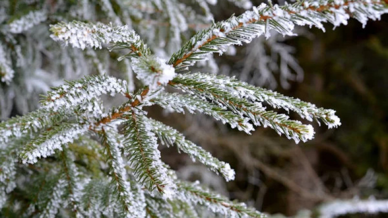 Фото:depositphotos.com