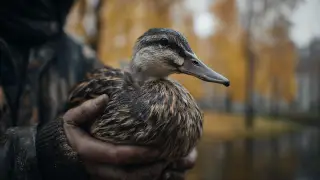 Потрошил уток на глазах у ребенка в парке Астаны: мужчину наказали