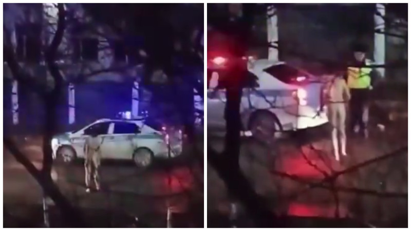 Кадры из видео: t.me/tipavlo