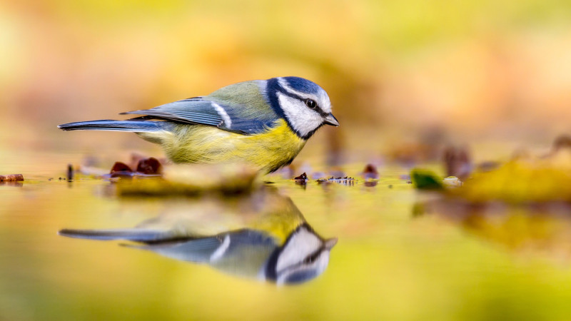 Фото:depositphotos.com