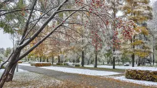 Прогноз погоды в Казахстане на четверг: где будут морозы, снег и туман