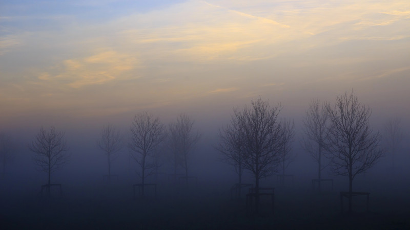 Фото:depositphotos.com