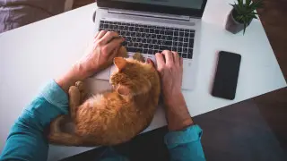 Кто и как может уйти работать на удалёнку, рассказали в Минтруда