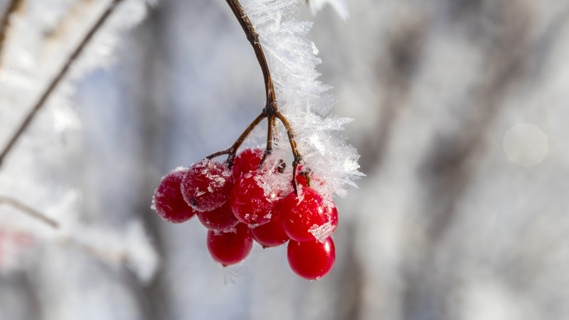 Фото:depositphotos.com