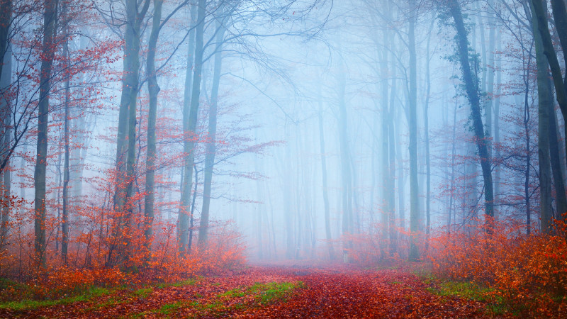 Фото:depositphotos.com