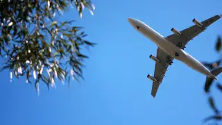 Новые прямые рейсы из Казахстана запустят сразу в несколько стран