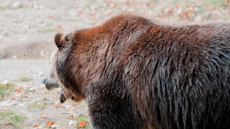 Фото:depositphotos.com