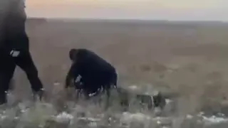 Убийство девочки: подозреваемого задержали прямо в поле возле села Родина